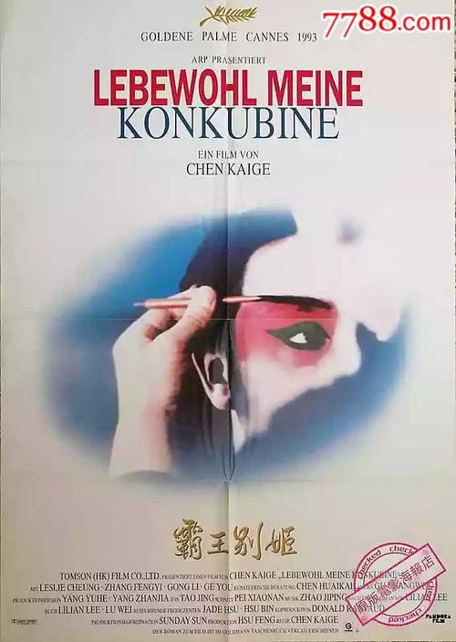 曼海姆大学 Design degree certificate